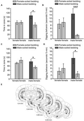 Glutamate and Opioid Antagonists Modulate Dopamine Levels Evoked by Innately Attractive Male Chemosignals in the Nucleus Accumbens of Female Rats